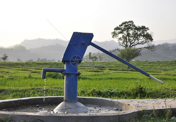 在印度美丽的田地里的水泵图片