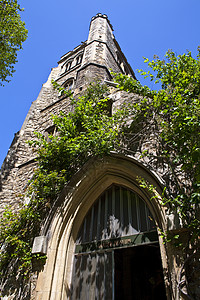 伦敦兰贝斯圣玛丽教堂宗教英语绿色植物花朵旅游教堂观光建筑学园艺花园图片