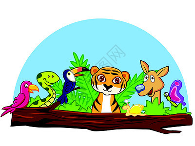 动物动物漫画热带木头蜗牛童年卡片横幅乐趣哺乳动物团体丛林图片