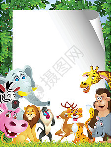 带空白标志的动物漫画黑猩猩大草原狮子团体丛林热带山魈童年猎豹吉祥物图片
