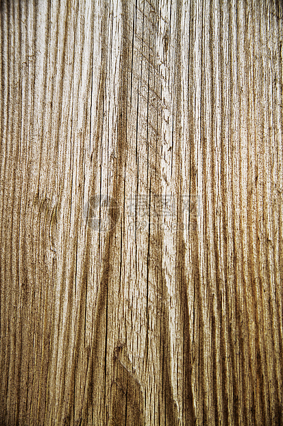 木质表面结构作为自然背景的表层结构图片