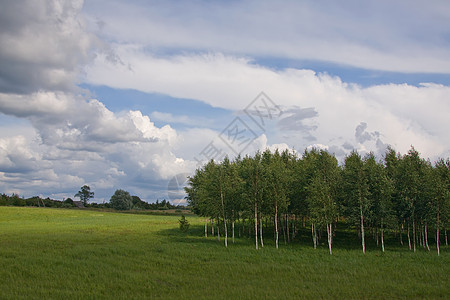 立陶宛夏季陆地天空地平线全景乡村绿色草地农业阳光城市环境风景蓝色图片
