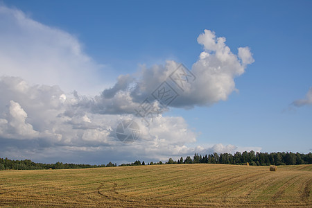 立陶宛夏季陆地天空地平线绿色乡村土地草地农业阳光风景蓝色场景场地图片