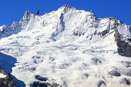 高加索山脉 Dombai石头悬崖旅行下雪全景冰川雪花爬坡顶峰土地图片