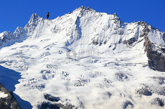 高加索山脉 Dombai石头悬崖旅行下雪全景冰川雪花爬坡顶峰土地图片