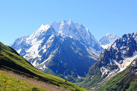 高加索山脉 Dombai石头顶峰悬崖叶子森林冰川岩石雪花冷冻木头图片