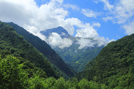 高加索山脉 Dombai首脑冷冻旅行石头全景顶峰荒野土地木头岩石图片