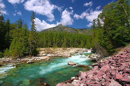 冰川国家公园环境流动荒野溪流巨石地形针叶树森林场景松树图片