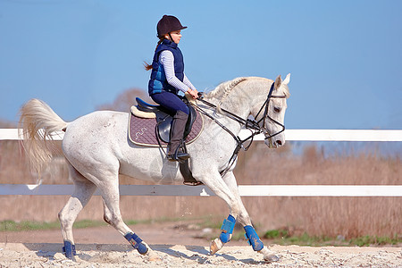 骑白马的马妇宠物鞭策哺乳动物运动骑师马背舞步男性马术女性图片