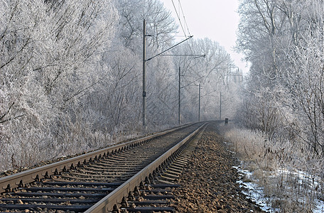 秋叶雪霜冬季铁路运输旅行乡村农村火车领带阴霾国家天气背景