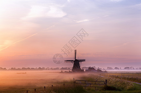 清晨起雾中的荷兰风车图片