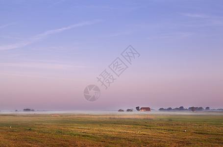 日出时荷兰农场图片