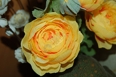 玫瑰植物黄色花朵风格装饰图片