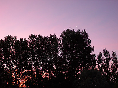 黎明时紫色天空图片