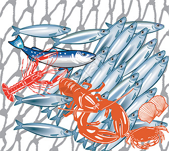 渔业鱼群剥削性海洋海鲜鳕鱼食物环境蒸笼龙虾渔夫图片