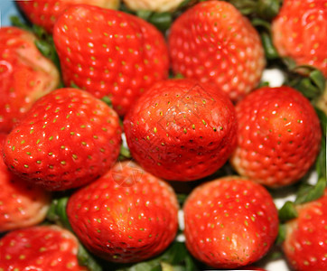 草莓浆果美食小吃食物团体早餐果汁饮食生态叶子图片