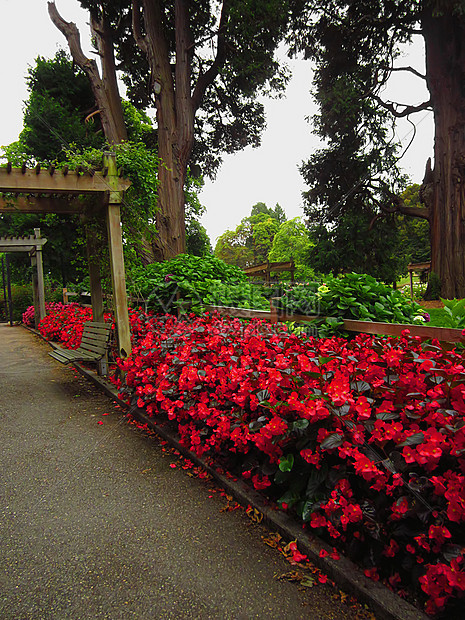 花园景观季节性绿地植物学格子国家植物农村乡村植物群公园图片