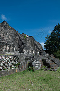 伯利兹的文化楼梯建筑学文明寺庙废墟地标石头历史性金字塔图片