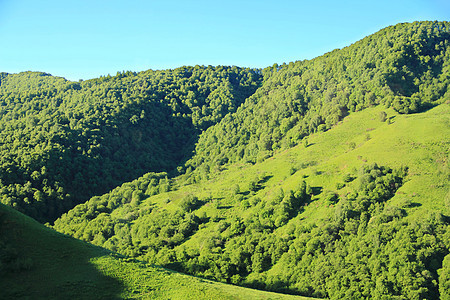 高加索绿色山脉的夏季风景景观顶峰森林爬坡叶子石头季节土地旅行绿色悬崖图片