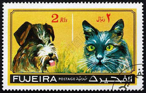 1971年Fujeira邮戳邮政邮票哺乳动物船运古董动物毛皮动物群服务办公室图片
