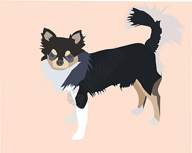 奇瓦亚州绘图计算机宠物插图宠爱犬类绘画动物图片