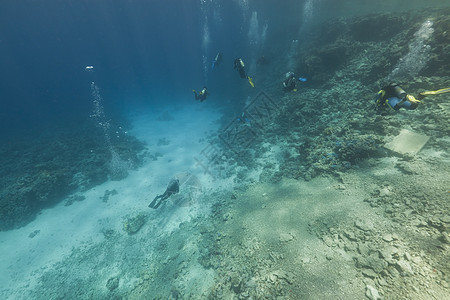 红海的斯库巴潜水员和热带珊瑚礁海洋潜水场景情调异国生活海景蓝色盐水阳光图片