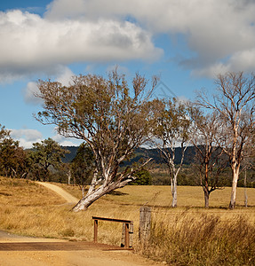 澳大利亚风貌风光乡村农村网格牧场土地农田国家树景场景图片