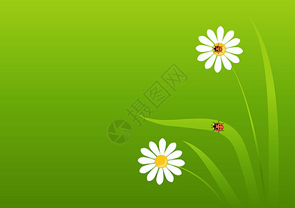 带有女调试器背景背景植物红色环境瓢虫雏菊草地昆虫叶子绿色图片