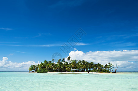 太平洋无人居住的岛屿太平洋热带假期棕榈环礁旅行蓝色海洋海滩天堂群岛图片