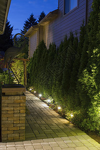 夜间后院花园之路图片