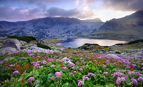 雾山山上湖泊和鲜花背景