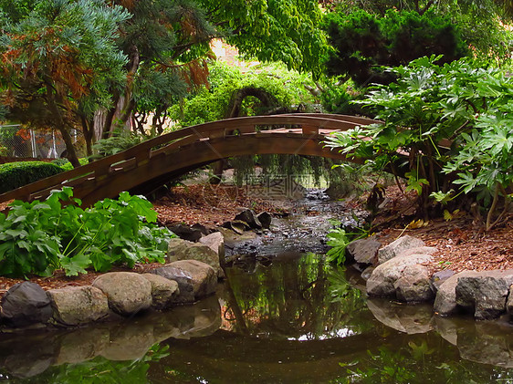 东方花园公园绿化园艺农村植物学木头池塘植物群绿地植物图片