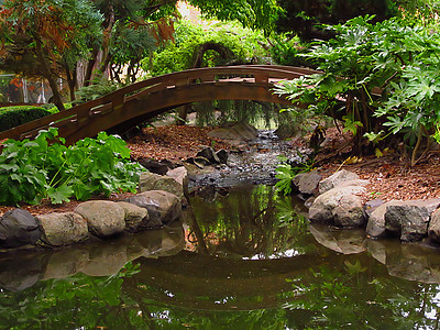 东方花园植物学水池木头植物园丁绿地季节池塘绿化花园图片