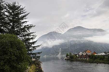 Eidfjord挪威薄雾天空旅游绿色木头环境旅行软木图片