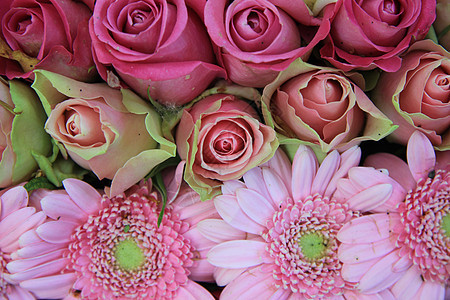 粉红新娘 鲜花安排 玫瑰和黄花花店婚姻植物学作品中心白色婚礼花束花瓣绿色图片