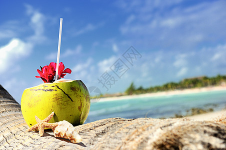海滩上的椰子太阳异国情调水果可可坚果晴天海景热带茶点图片