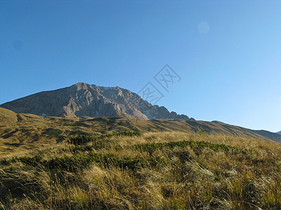 高加索山脉木头岩石植被山脉植物群全景山峰植物路线高地图片