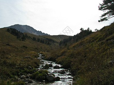 高加索山脉旅游山峰石头天空岩石植物群旅行草甸冰川植被图片