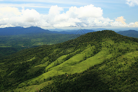 热带山脉环境旅行游客野生动物绿色射线蓝色荒野松树公园图片