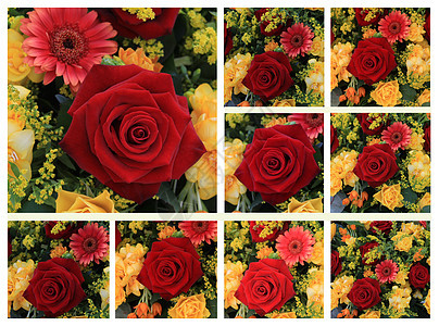 红玫瑰和黄玫瑰拼贴图片