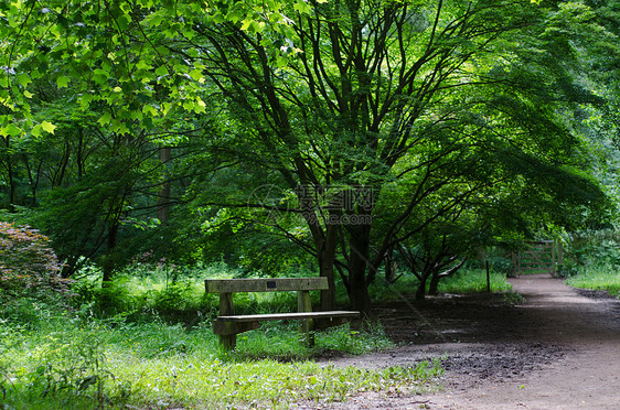 木制公园的空公园座途径人行道自行车森林马道长凳长椅绿树远足板凳图片
