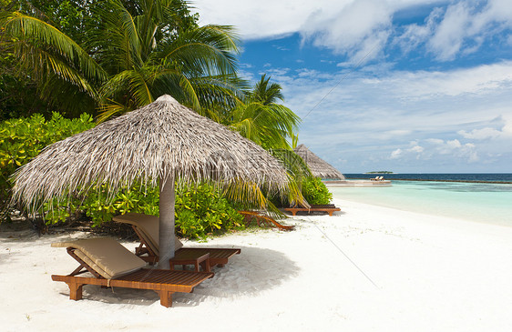 极端天堂棕榈阳光海景海岸椰子支撑娱乐树木热带旅游图片