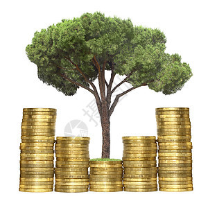 树木是用硬币生长的宝藏树苗针叶图表植物植物群环境绿色白色金子图片