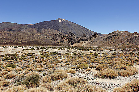 台德山或El Teide的锥火山巨石火山口擦洗天空岩石蓝色游客火山泰德休眠图片