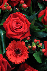 红花 玫瑰和黄花植物花束花店花朵绿色植物群红色花瓣图片