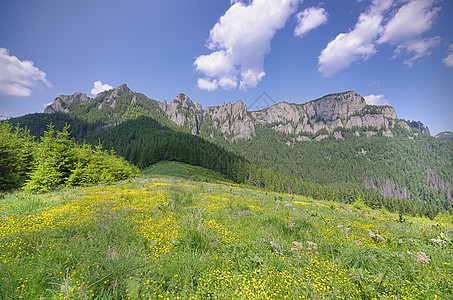 夏季山区地貌花朵国家天空森林季节小路爬坡村庄农业农村图片