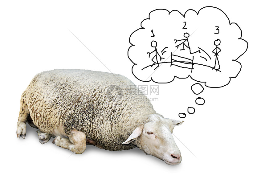 睡觉的羊数人图片