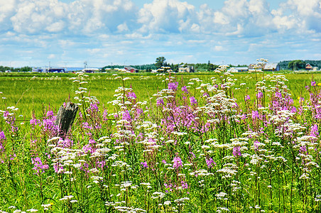 加拿大农村地区夏季风景加拿大图片