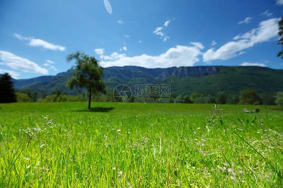 弹簧振动体草地丘陵登山高山山脉农村岩石松树全景蓝色图片