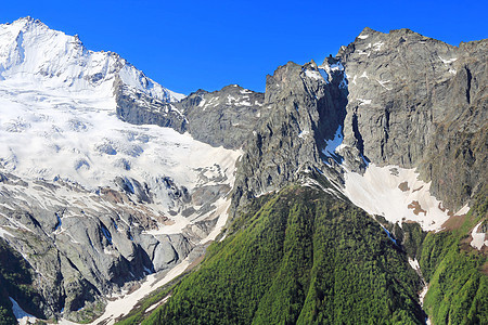 高加索山脉 Dombai森林木头旅行首脑石头悬崖岩石风景季节冰川图片